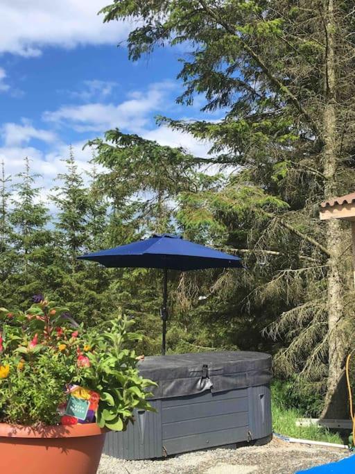 Bankhead Accommodation With Hot Tub Aberdeenshire Gamrie Dış mekan fotoğraf